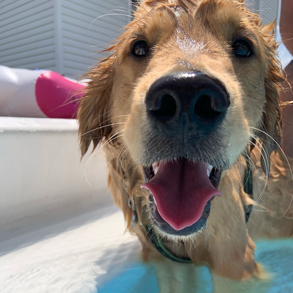 Meet your Posher, Jennifer